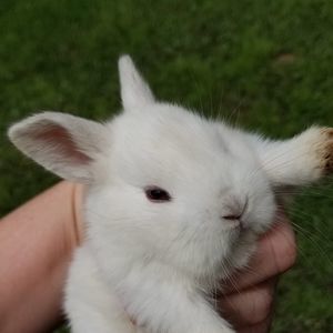 Meet your Posher, Shannon